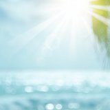夏