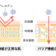 皮膚のバリア機能