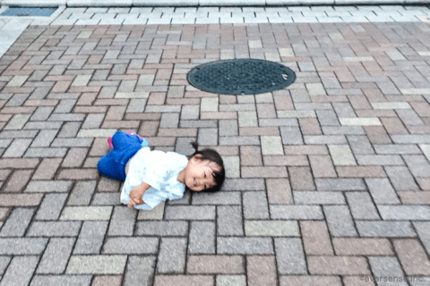 はなちゃん