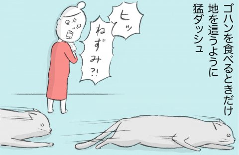 スイス6_4