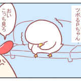 鳥谷丁子 育児 子育て 漫画 twitter 人気 人のふり見て