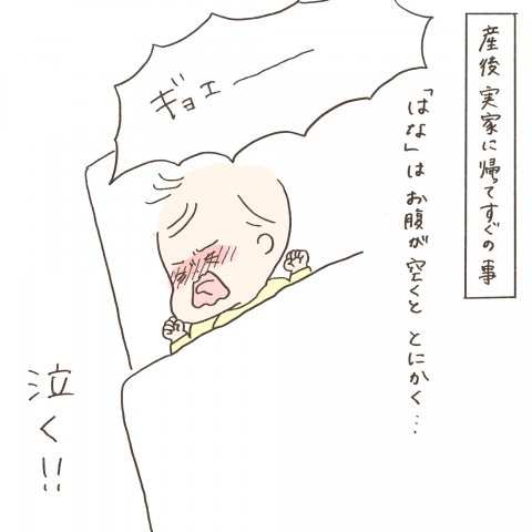 まゆはな4_1
