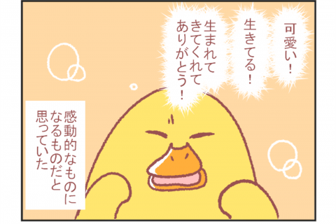 鳥谷丁子のオモテ育児・ウラ育児#8「初対面の感想」 連載8