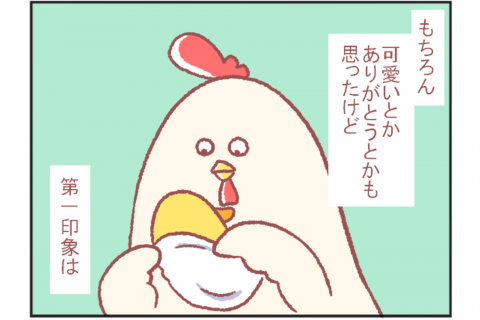 鳥谷丁子のオモテ育児・ウラ育児#8「初対面の感想」 連載8