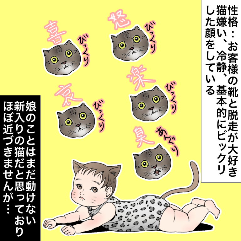 可愛いと可愛いの共演u2026のはずが！？｜ほっこりしない猫と育児#1 