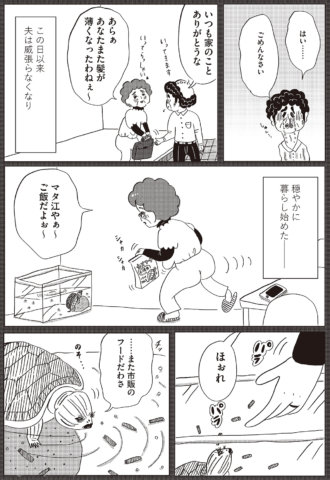 美淑女戦隊オバサンジャー